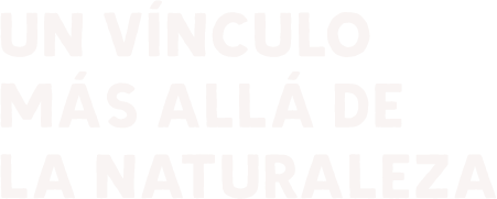 Un vínculo más allá de la naturaleza