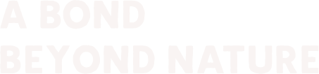 A Bond Beyond Nature